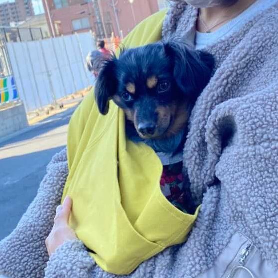 肩の負担がリュックより軽い