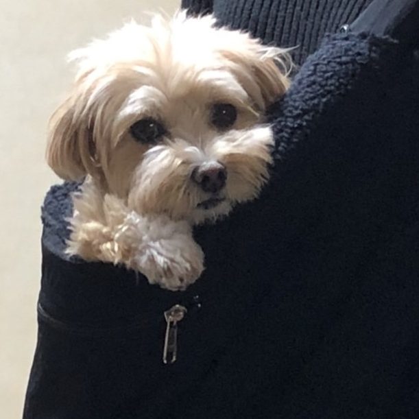 シーズンやお出かけのシーンごとに使い分け