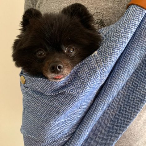 もっと早く買えば良かった