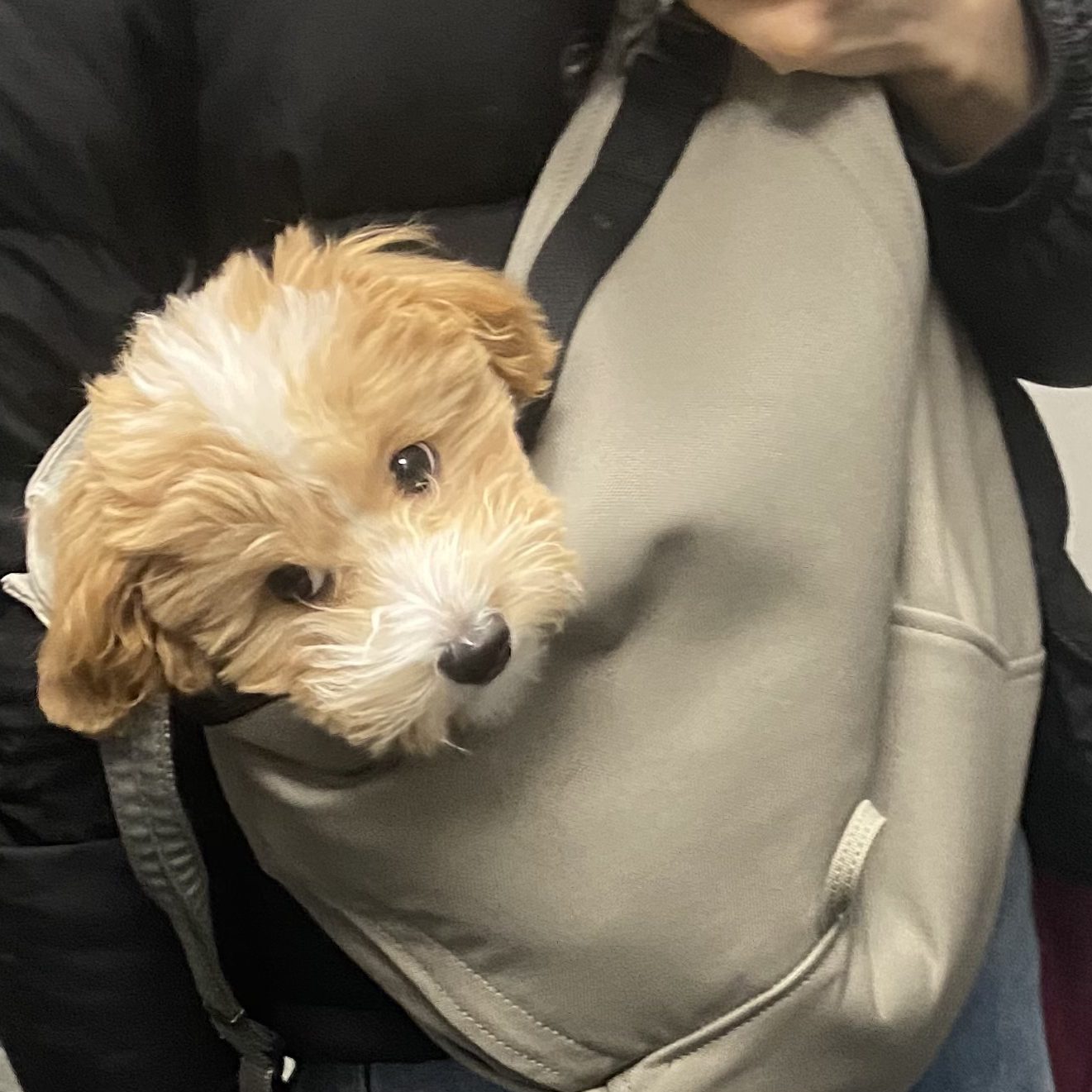 家族で共有できるのも嬉しいです!