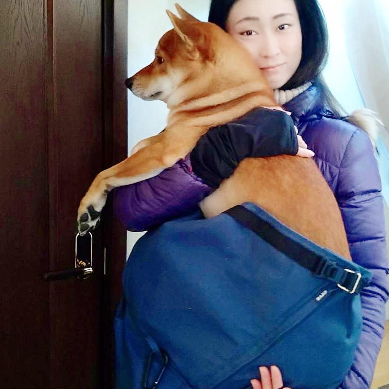 14kgの愛犬を守ってくれる商品