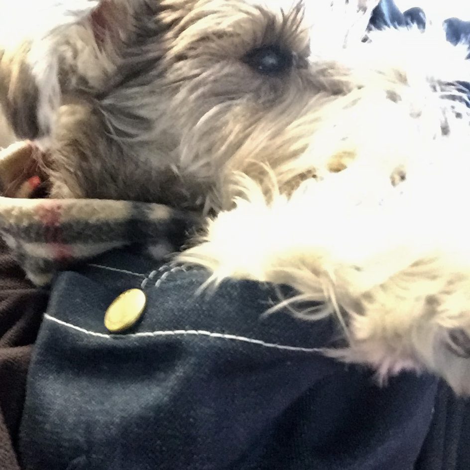 ズバリ大満足です