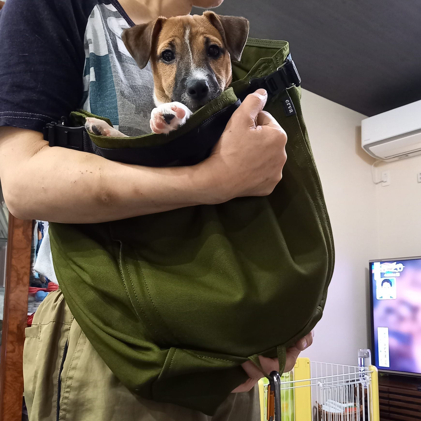一生涯使用できそうなので