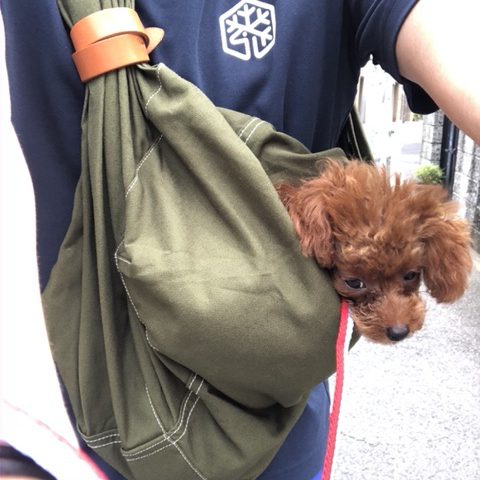 機能的かつシンプル