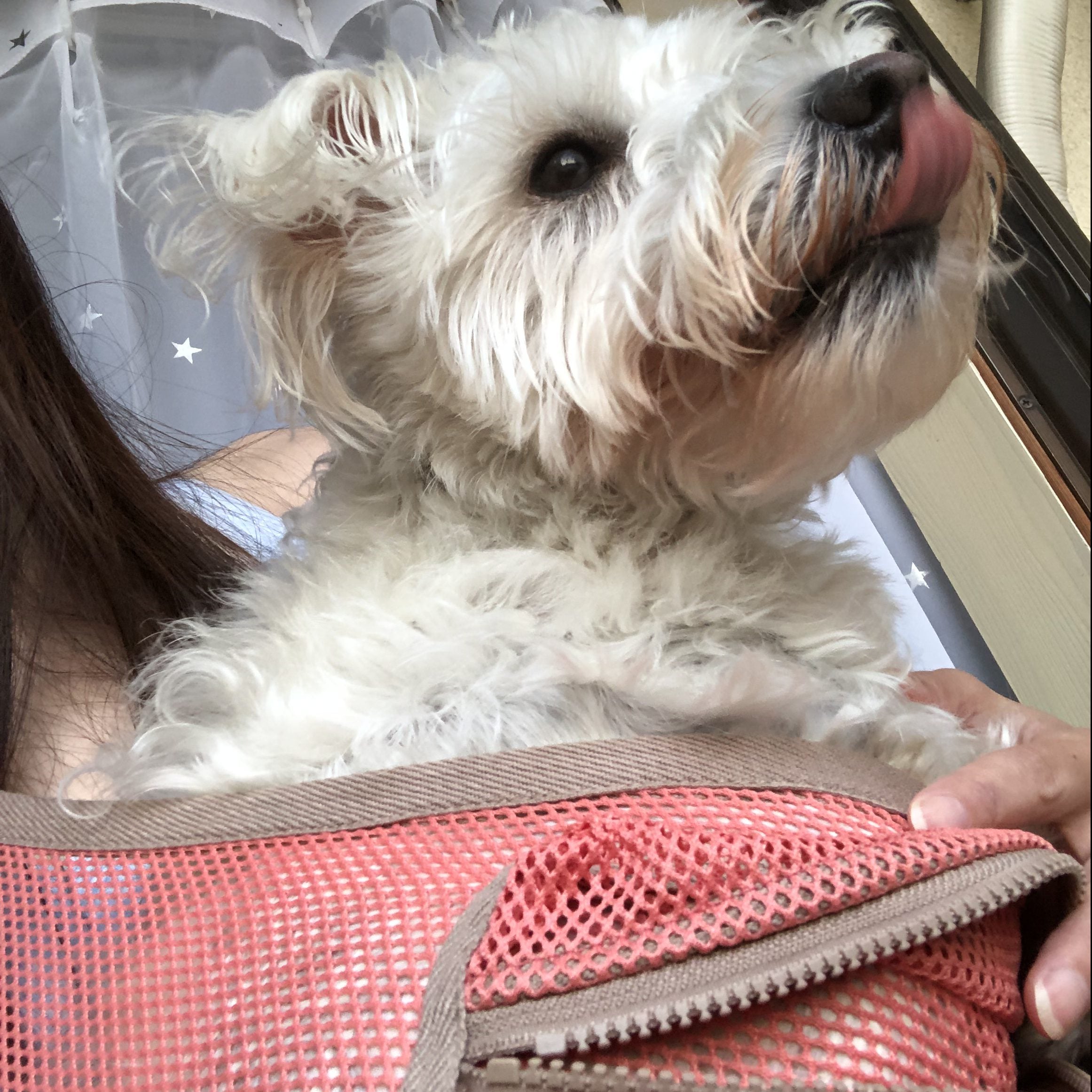 1番軽くてコンパクト