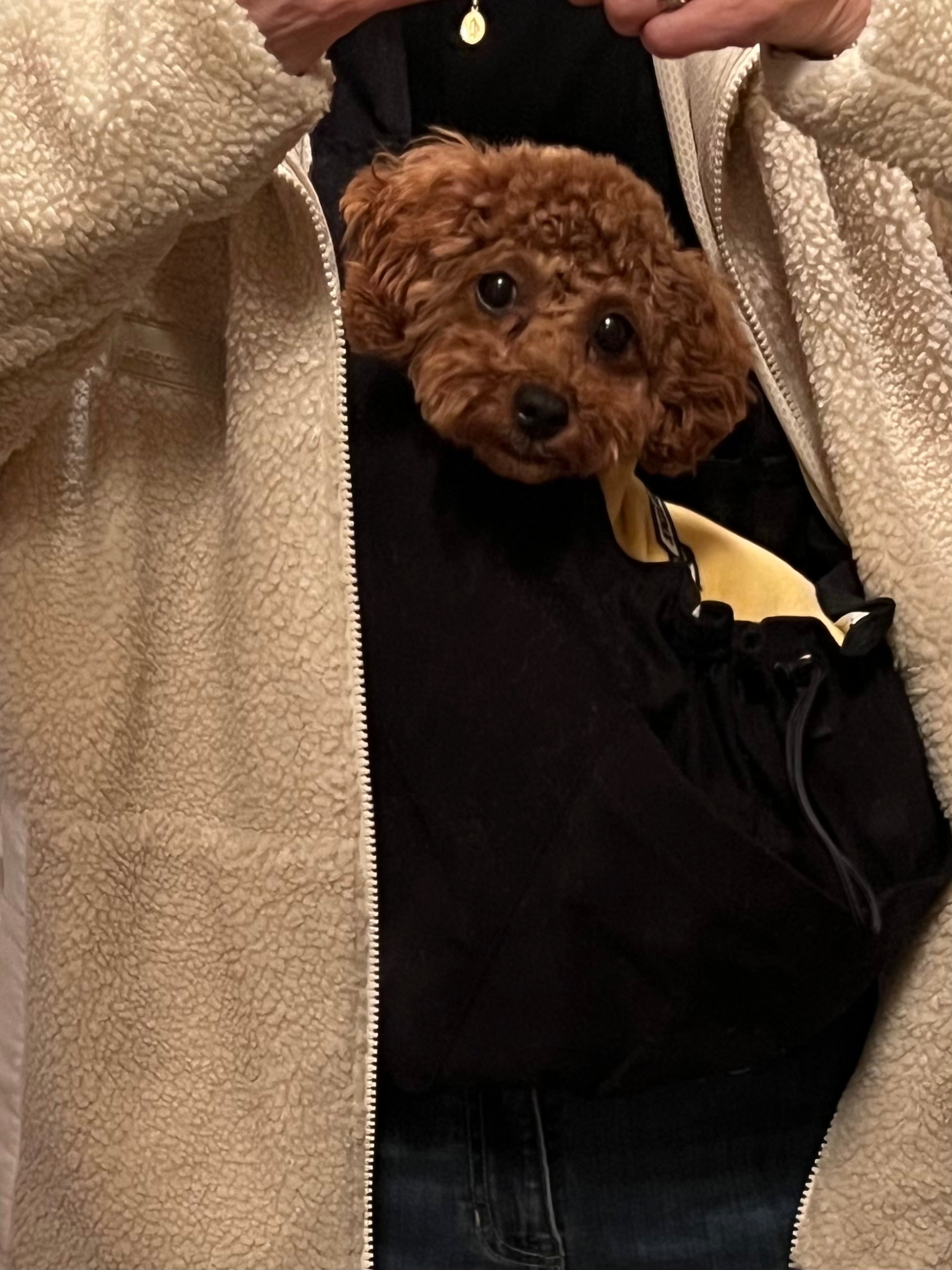 フィット感が抜群です!