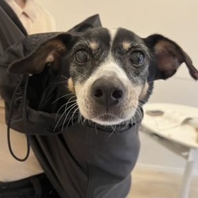 色々な景色を見たい