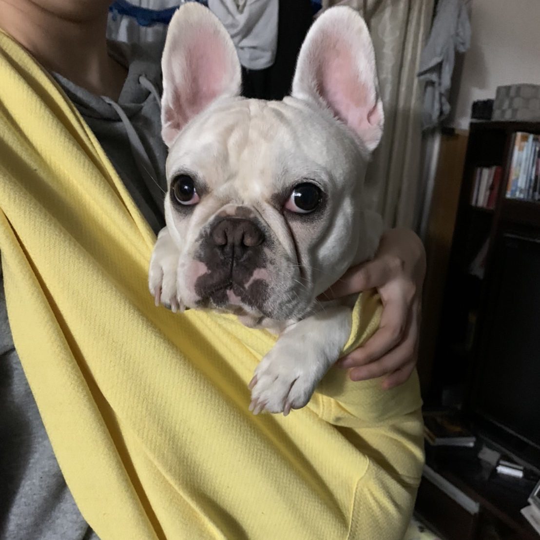 嫌がらずリラックスした様子