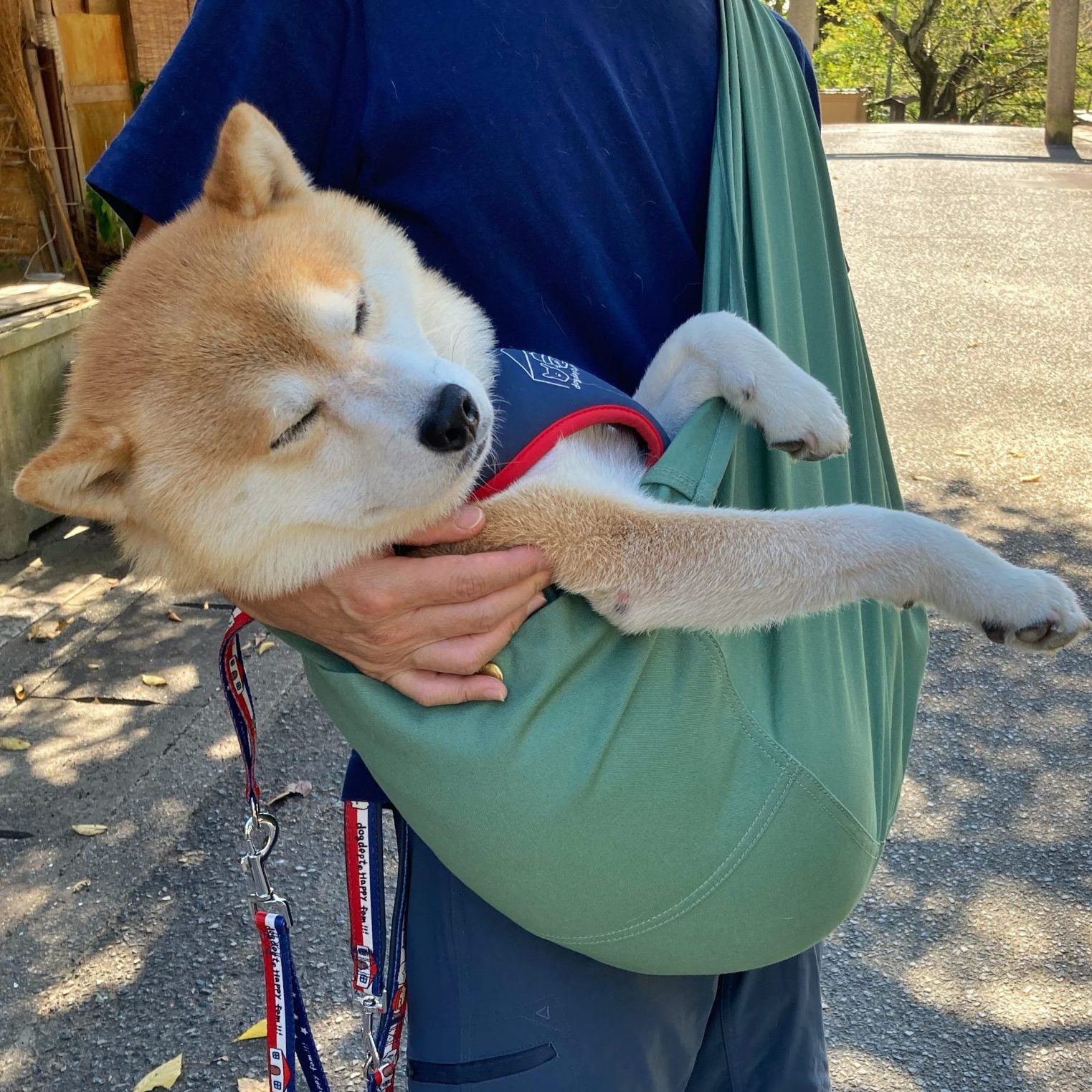 寝ちゃうぐらいリラックス