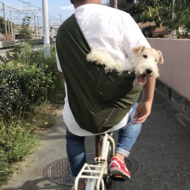 オシャレで中型でもいける