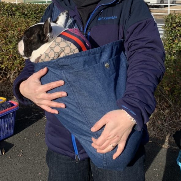 体重が10㎏以上ある