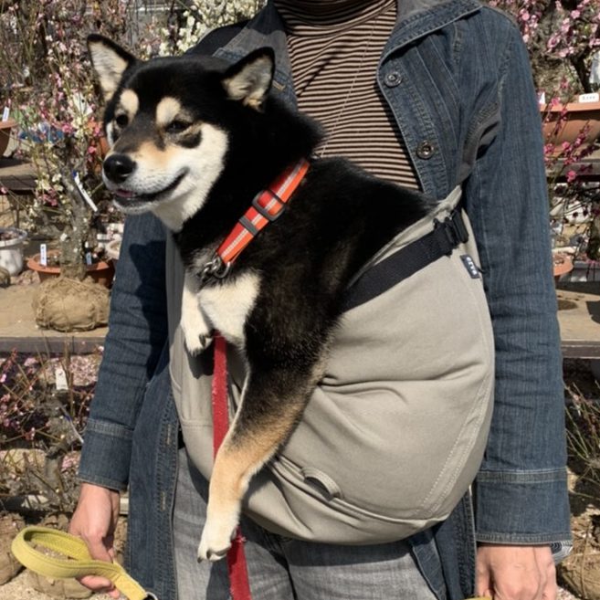 居心地良さそうで、落ち着いて入っています