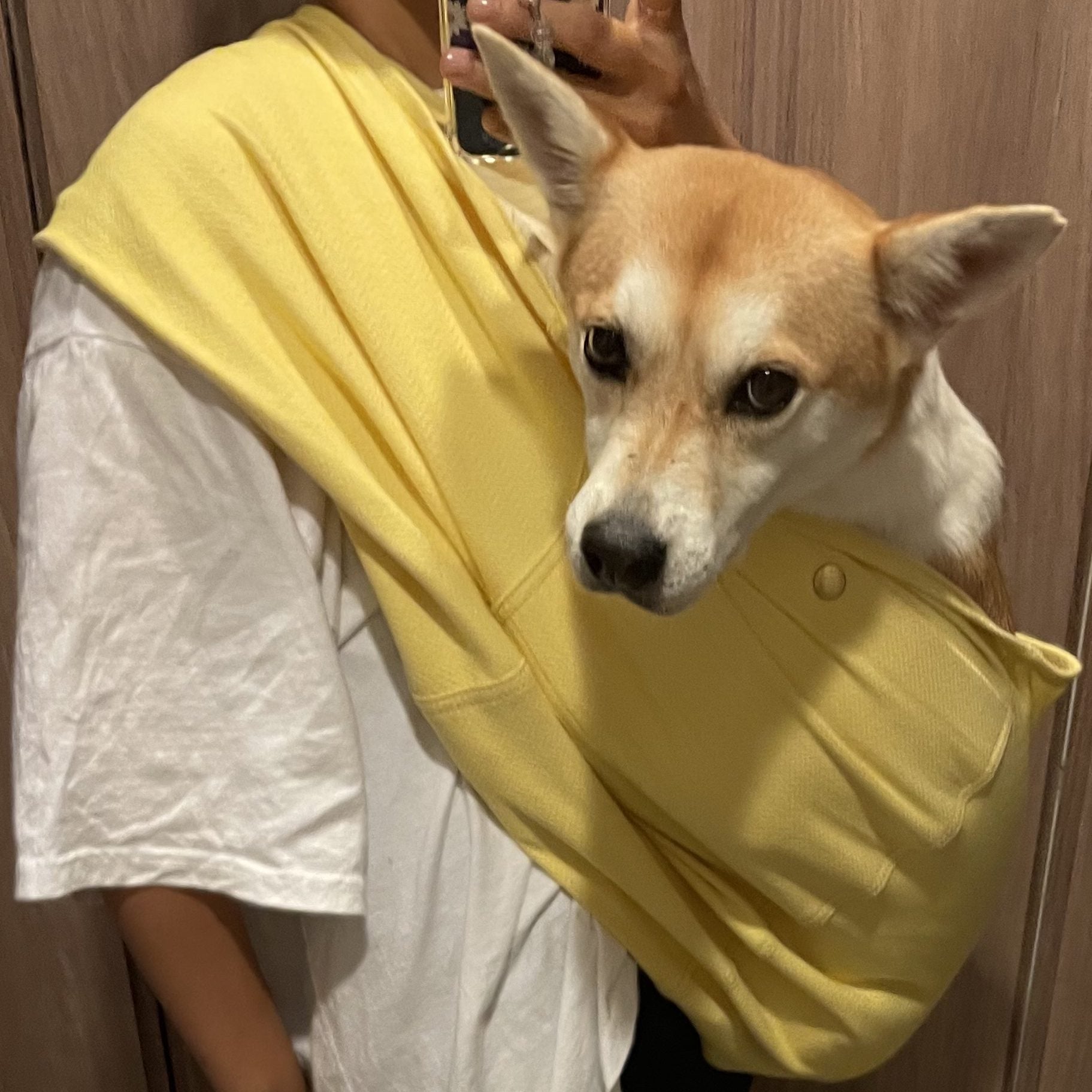 居心地がいいのかなと思います