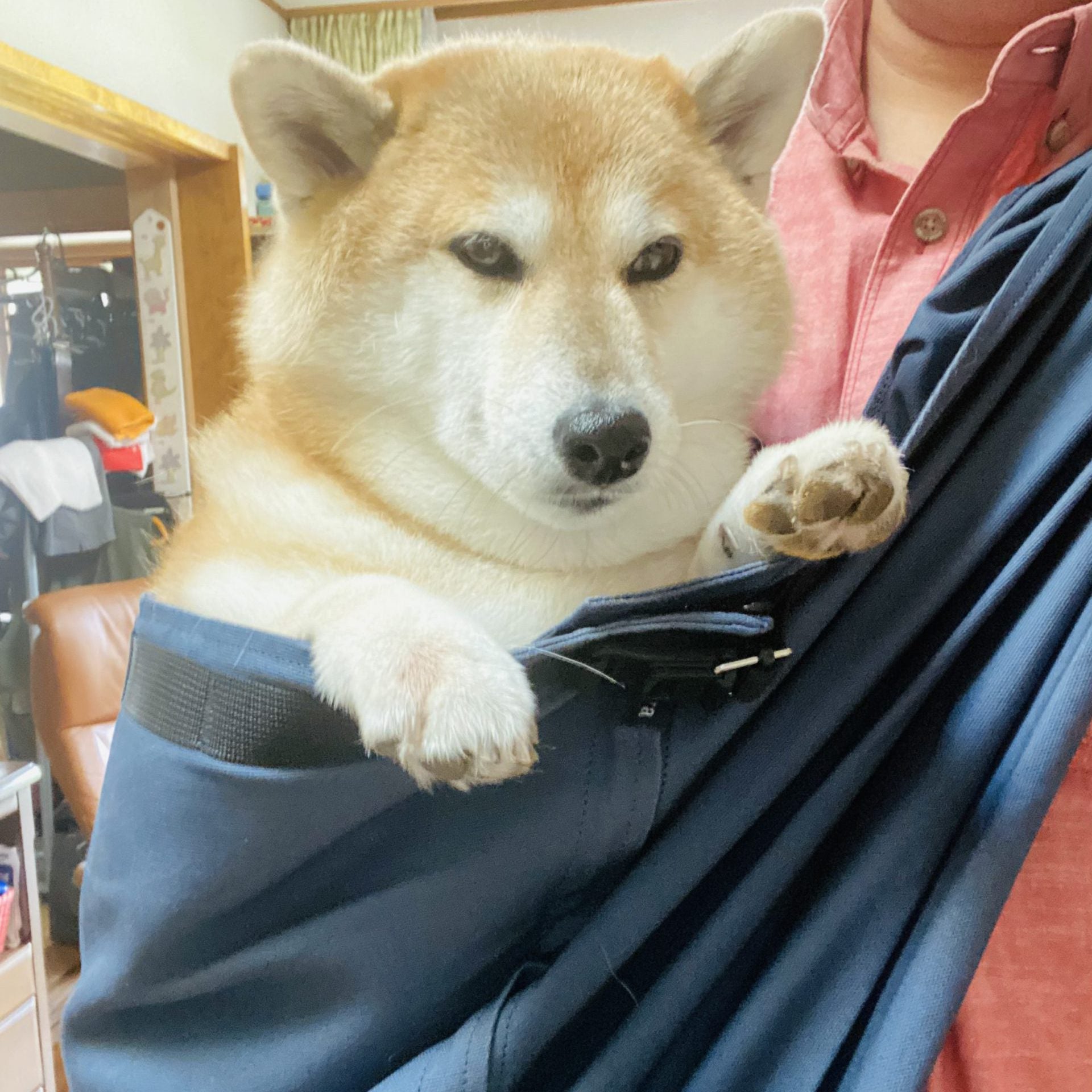 災害時にも旅行時にも使えそうで安心