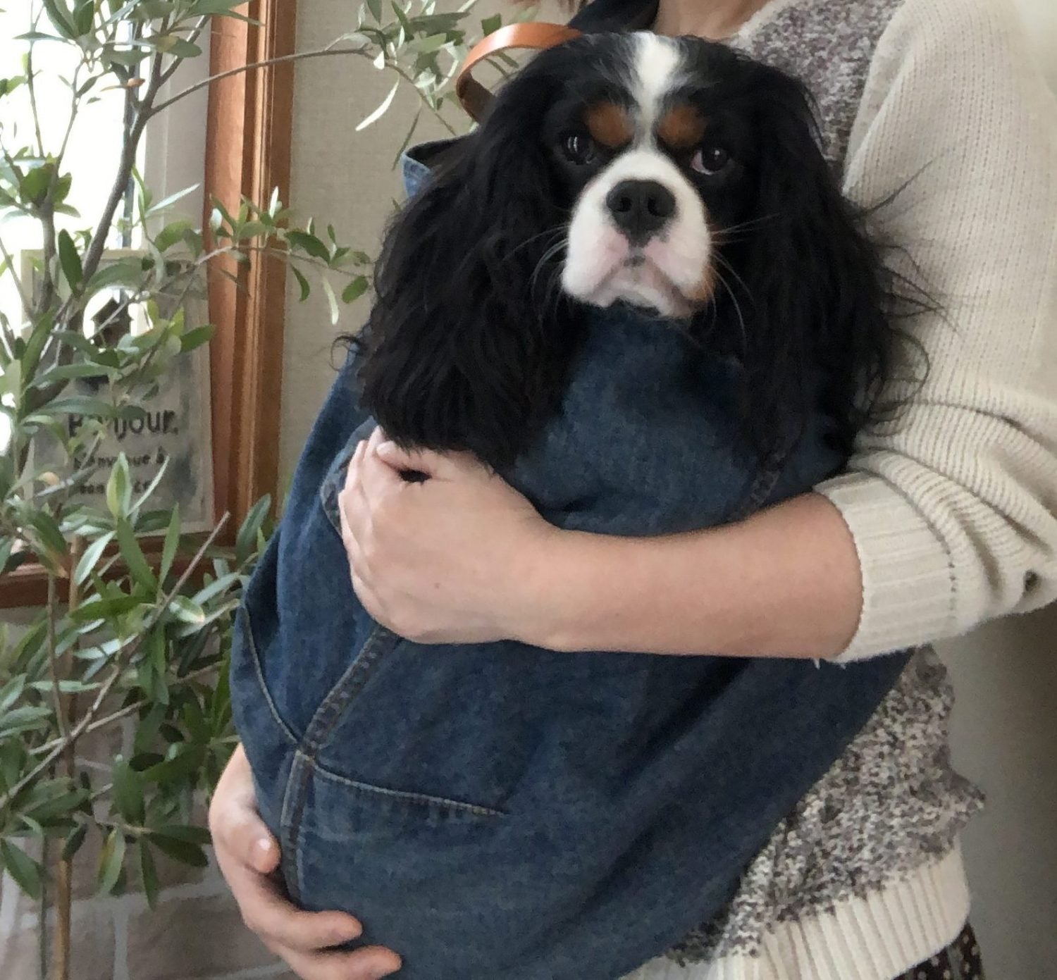 スリングの中ではうっとりしたお顔