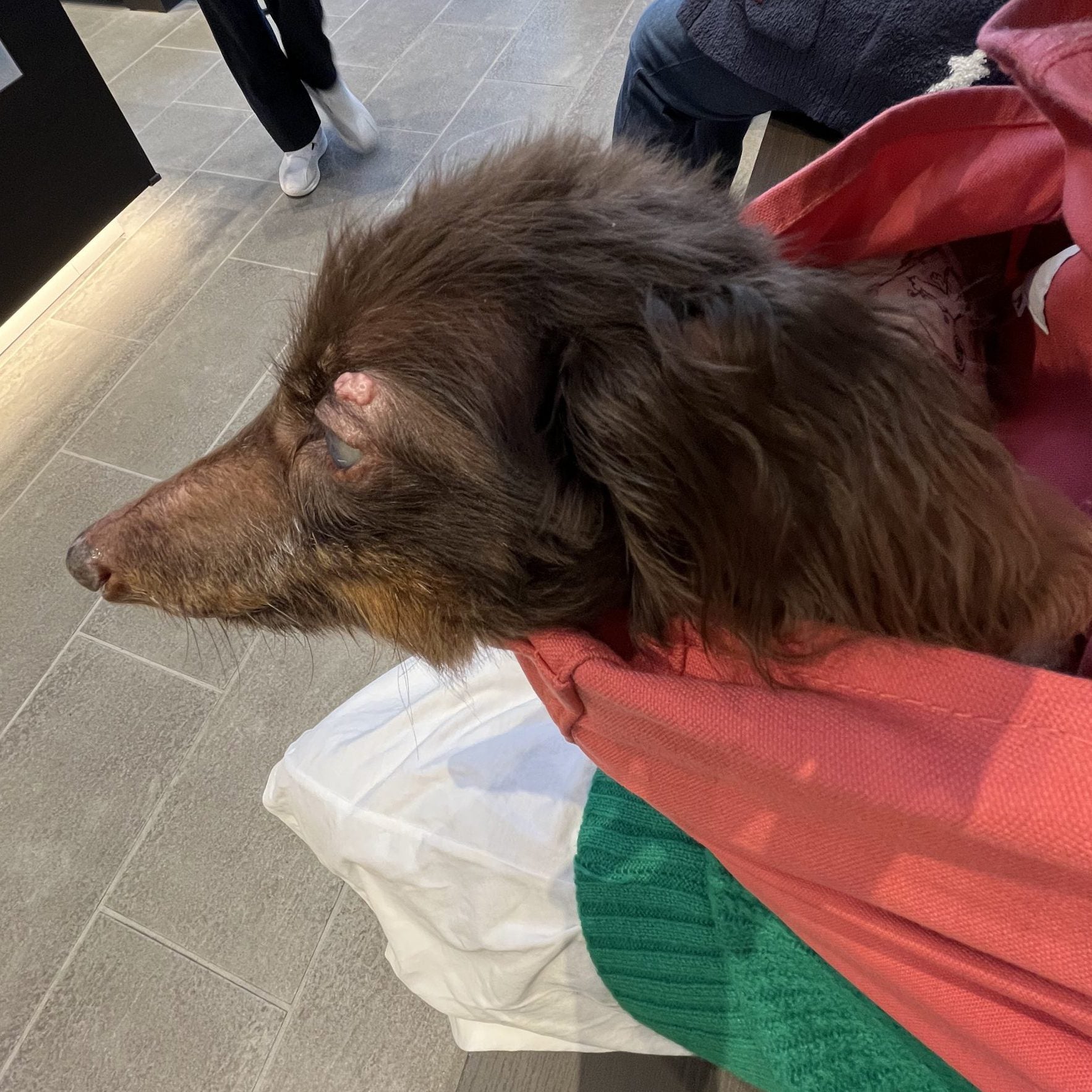 とても密着感があり安心