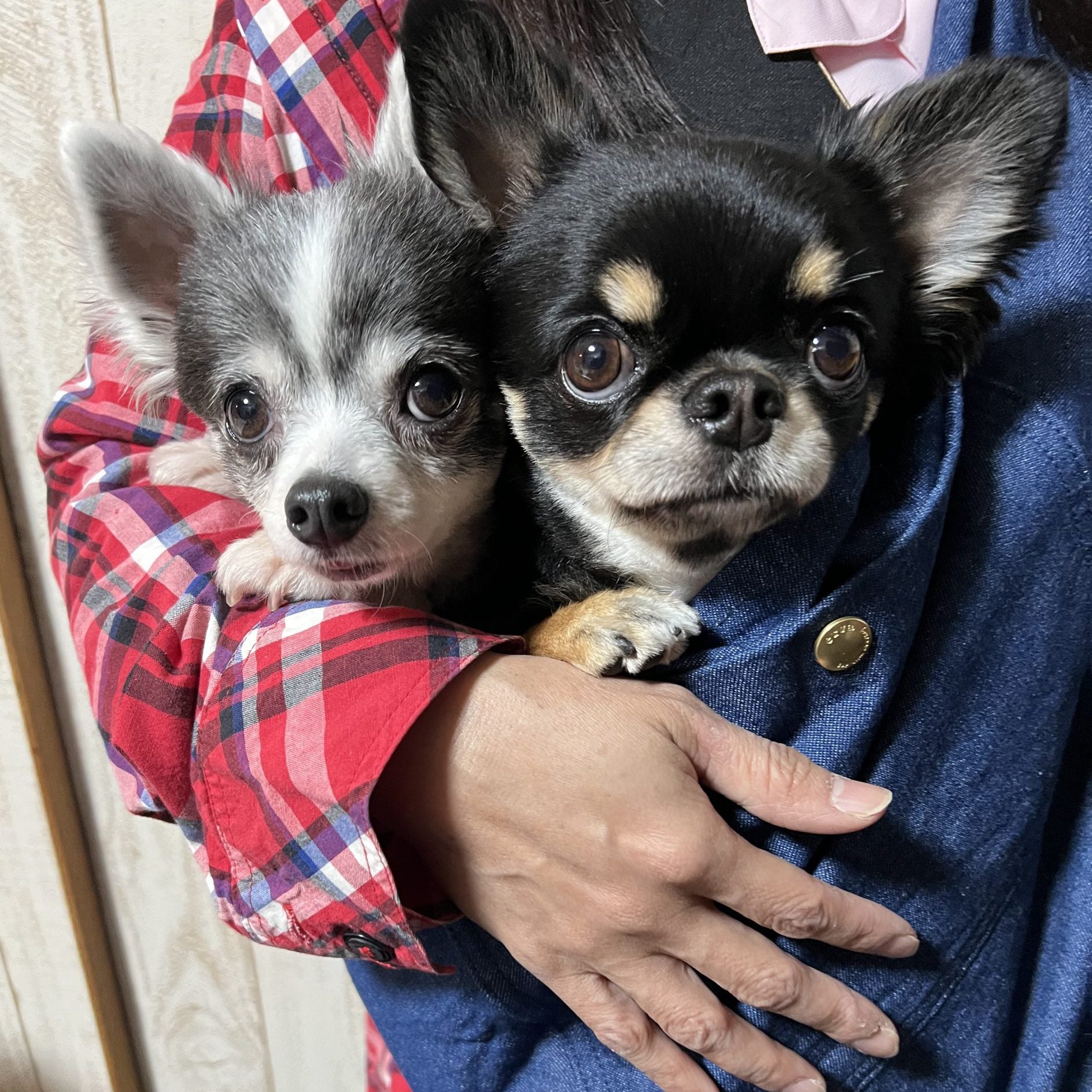 身体に負担がない