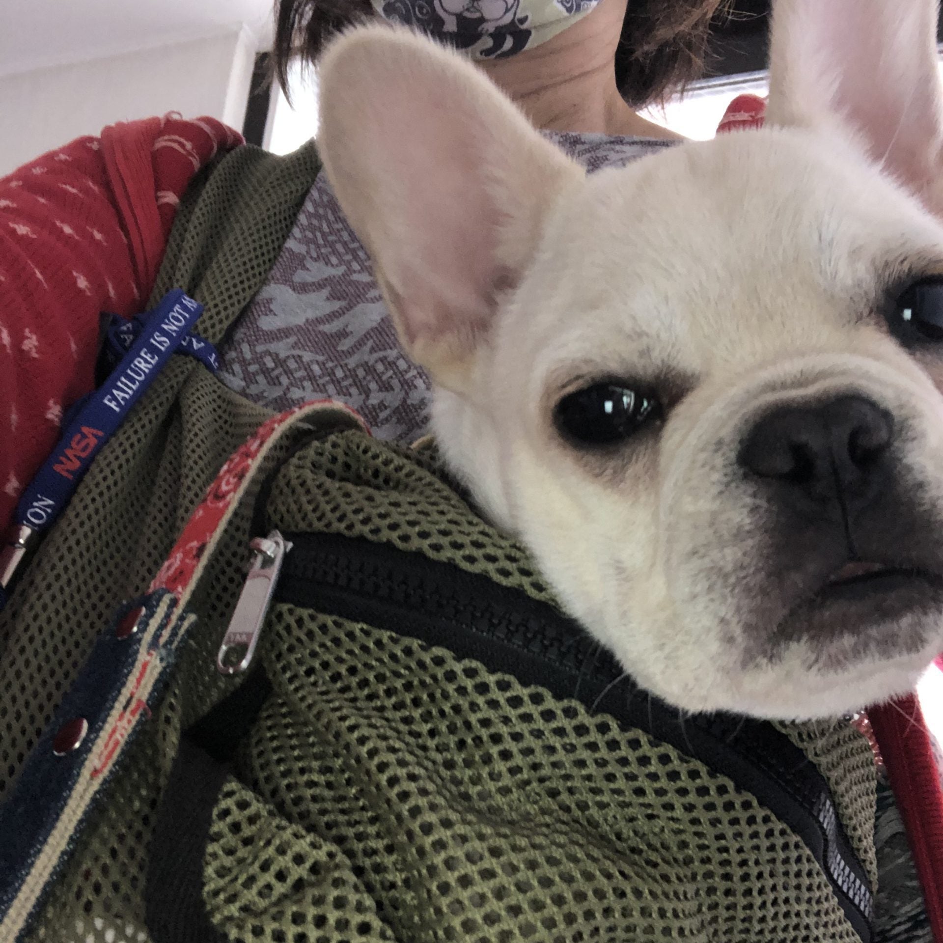 旅行や散歩に出かけるときを想定