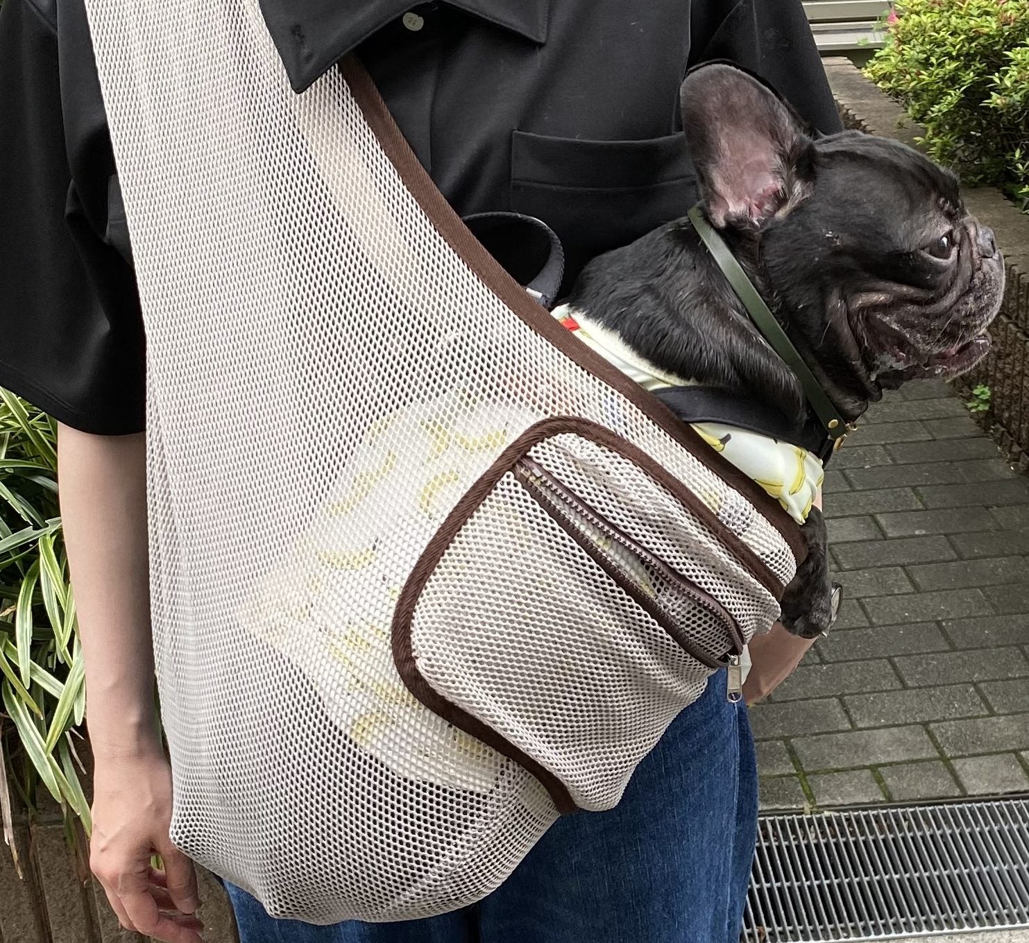 売り切れだったので待ちわびてました