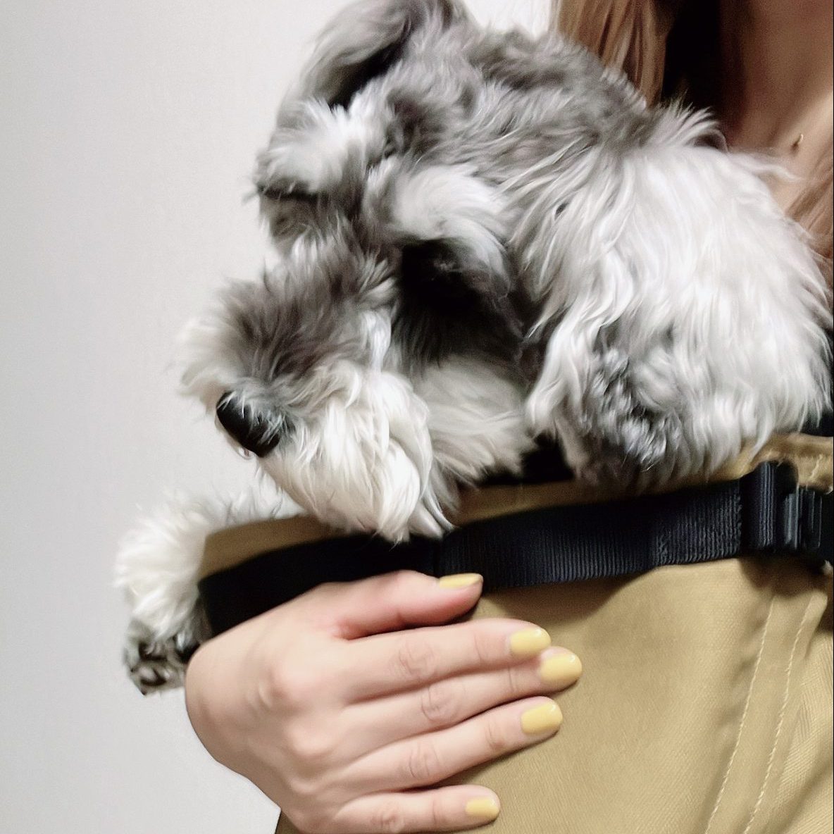 慣れてきたらすっかりおさまりました