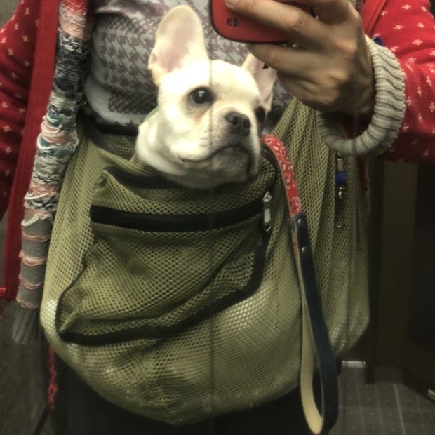 兼ねてから友人が、勧めていたから