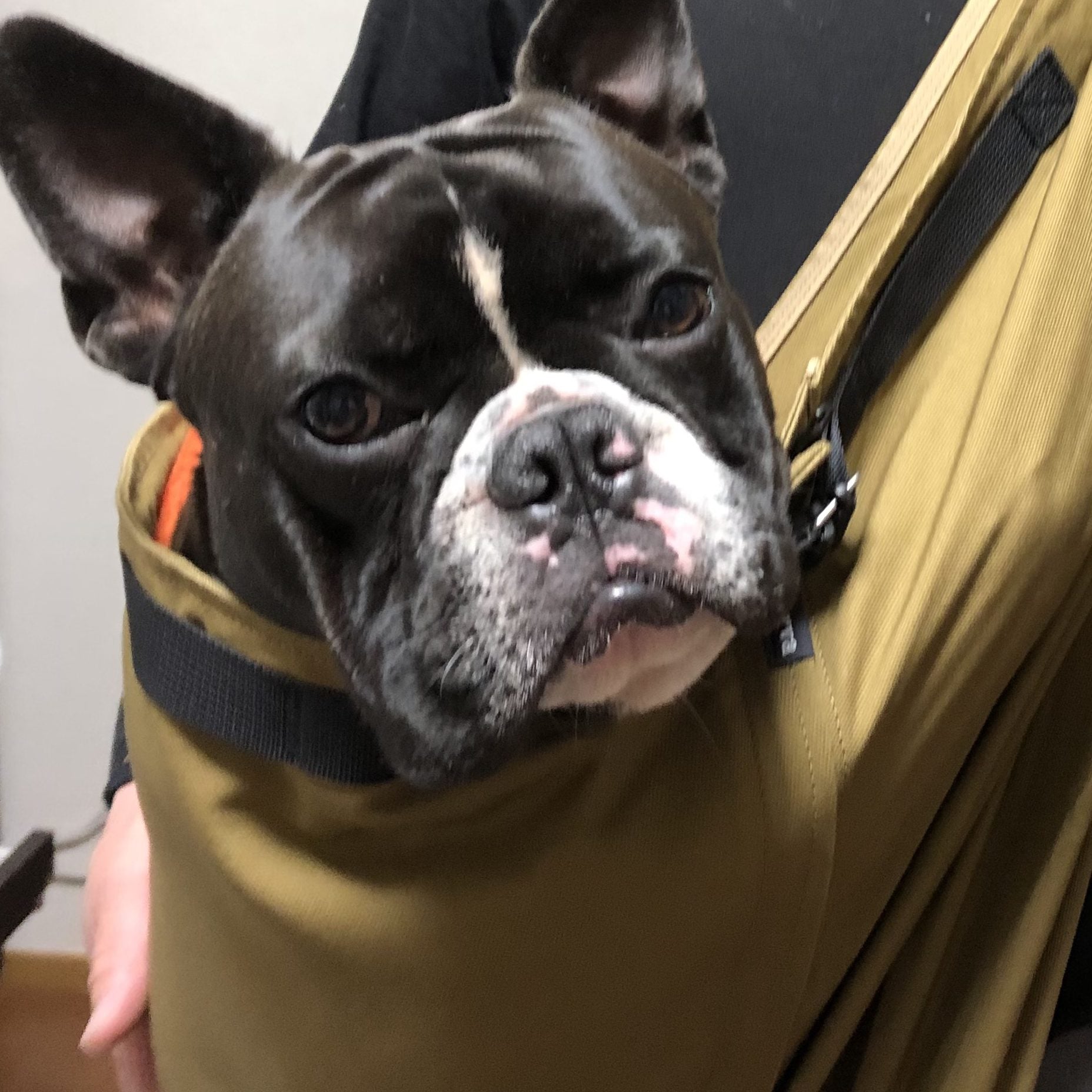 体重の大きな子でも抱っこできる