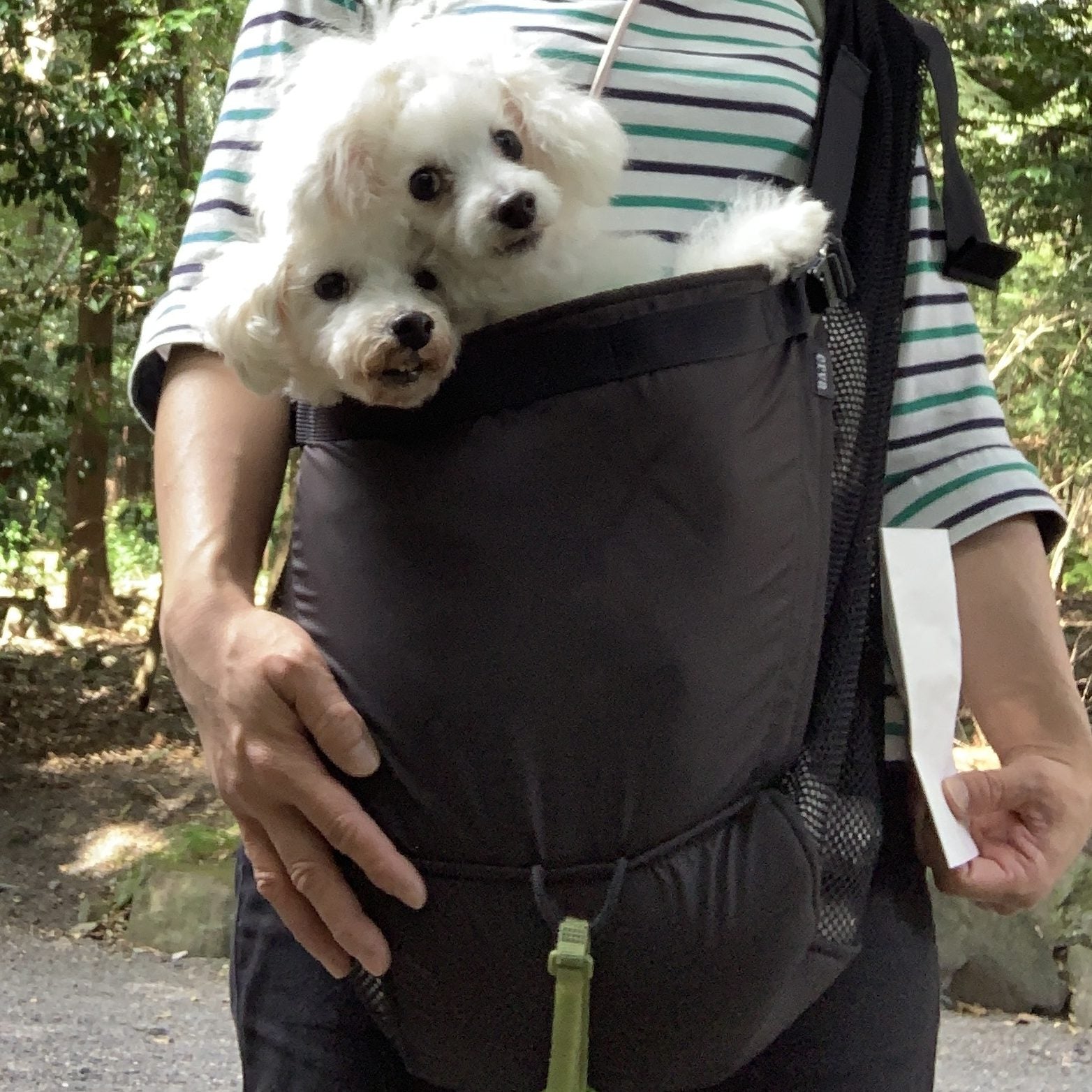 この先の身体の変化や生活環境の変化にも対応できるスリングが欲しく