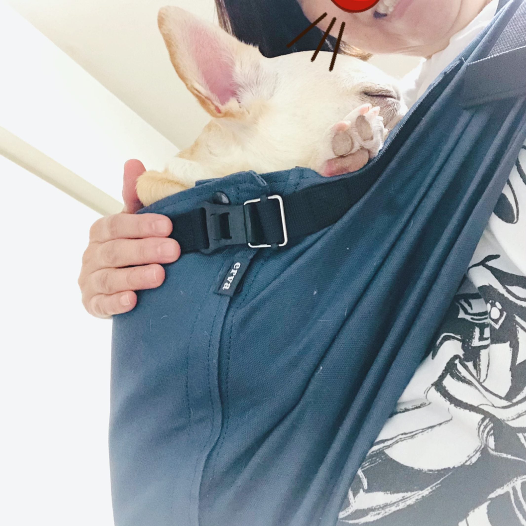 リピ買いで4つ目です