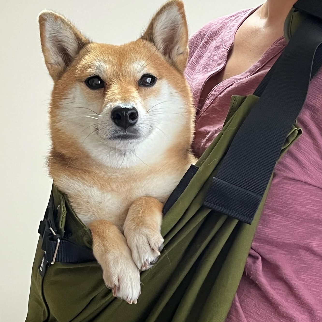 喜んでスリングに入ってくれてます
