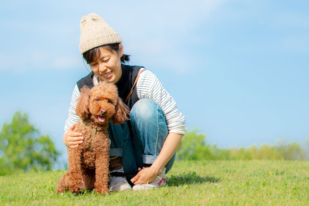 やっぱりエビデンスがあった!! たった10分間愛犬を撫でるだけで、あなたのストレス値は激減!