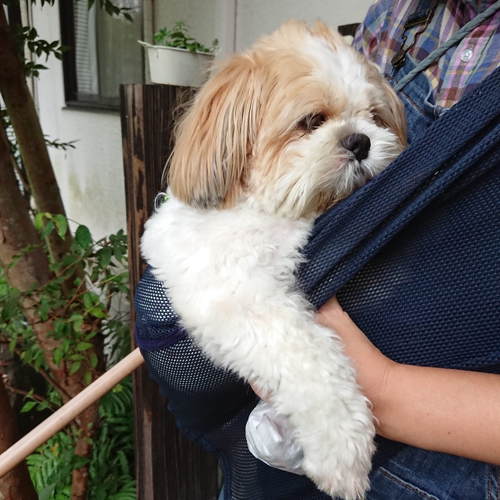 私とミルクの相棒