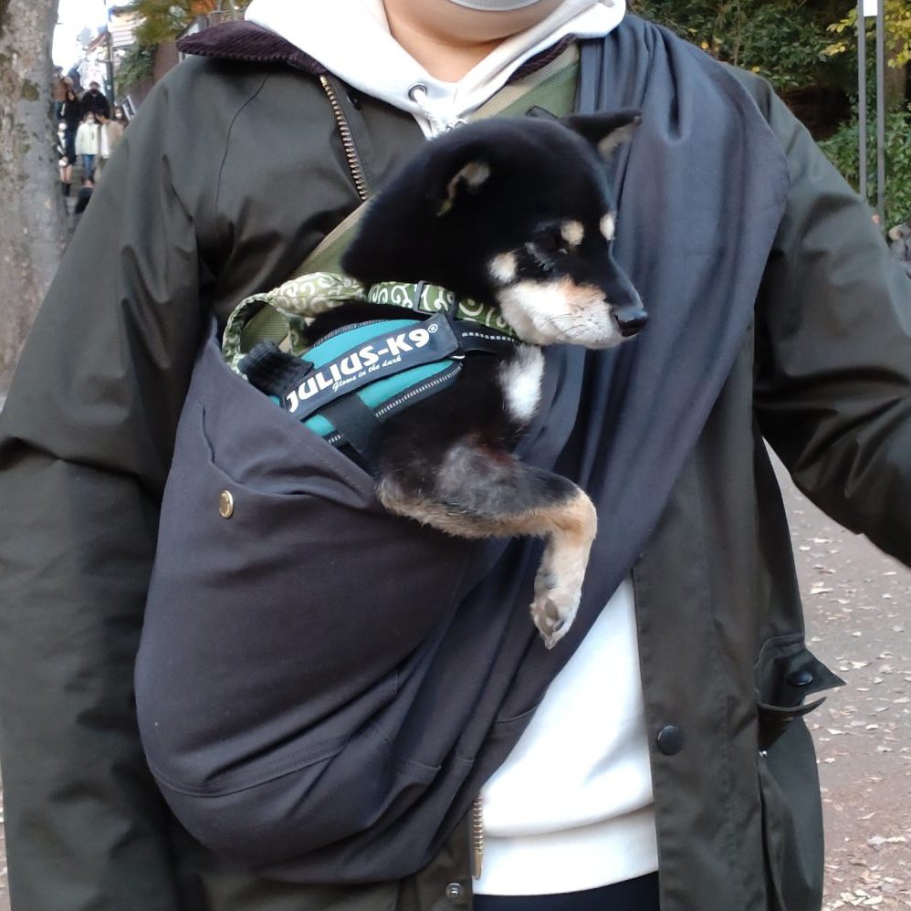 フィット感に夫婦で感動