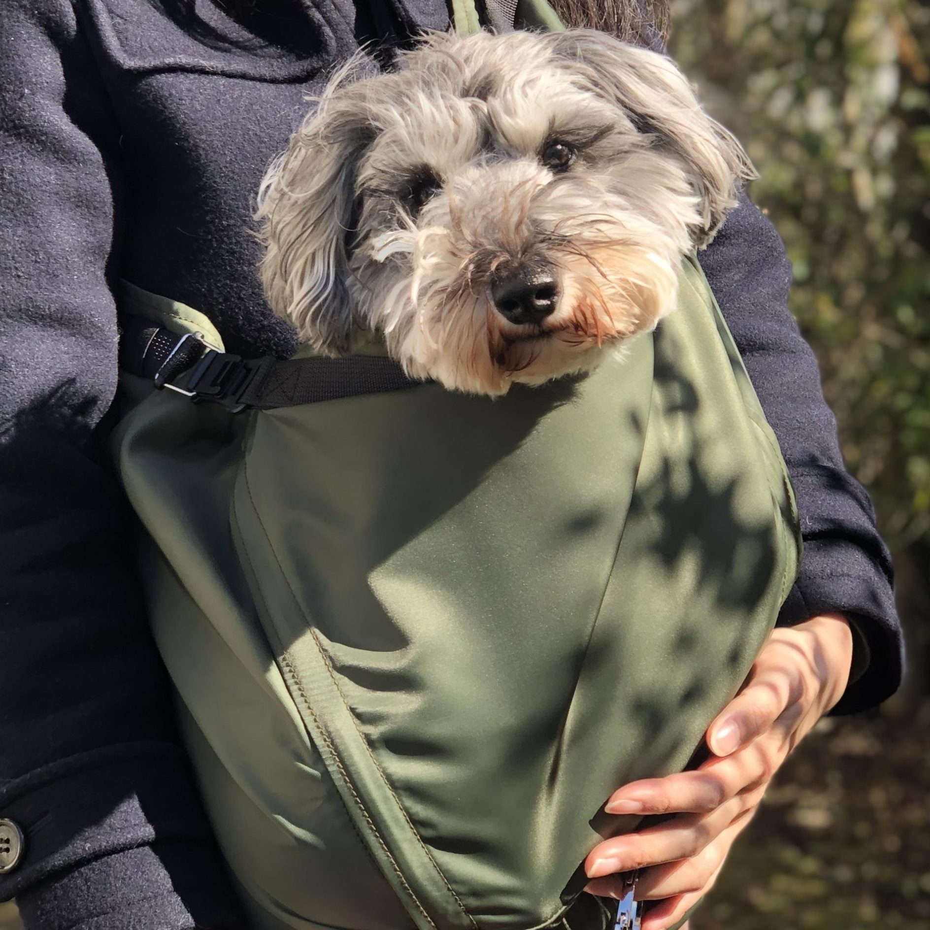 愛犬と共に過ごす世界が広がりそう