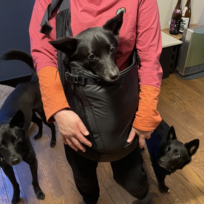 大きく開いて抱っこしやすい