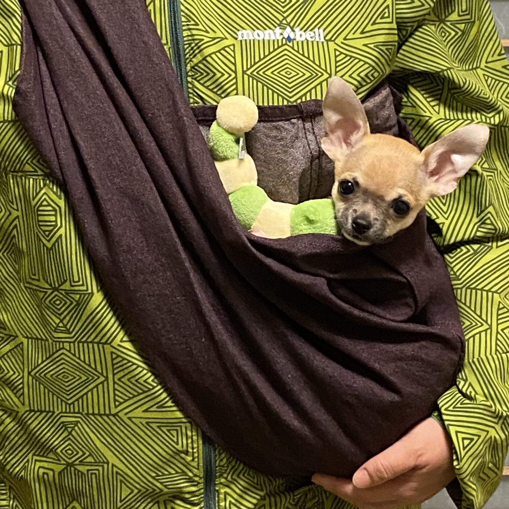 購入して正解でした