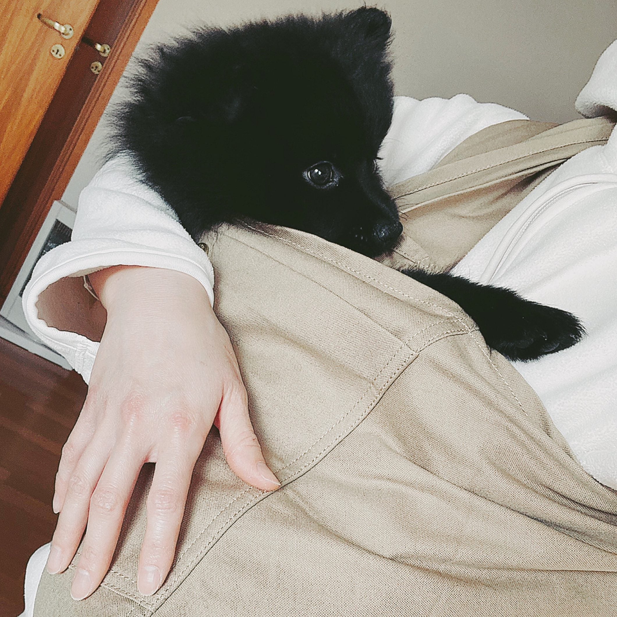 何度か使用するうちにちゃんと入れるようになりました