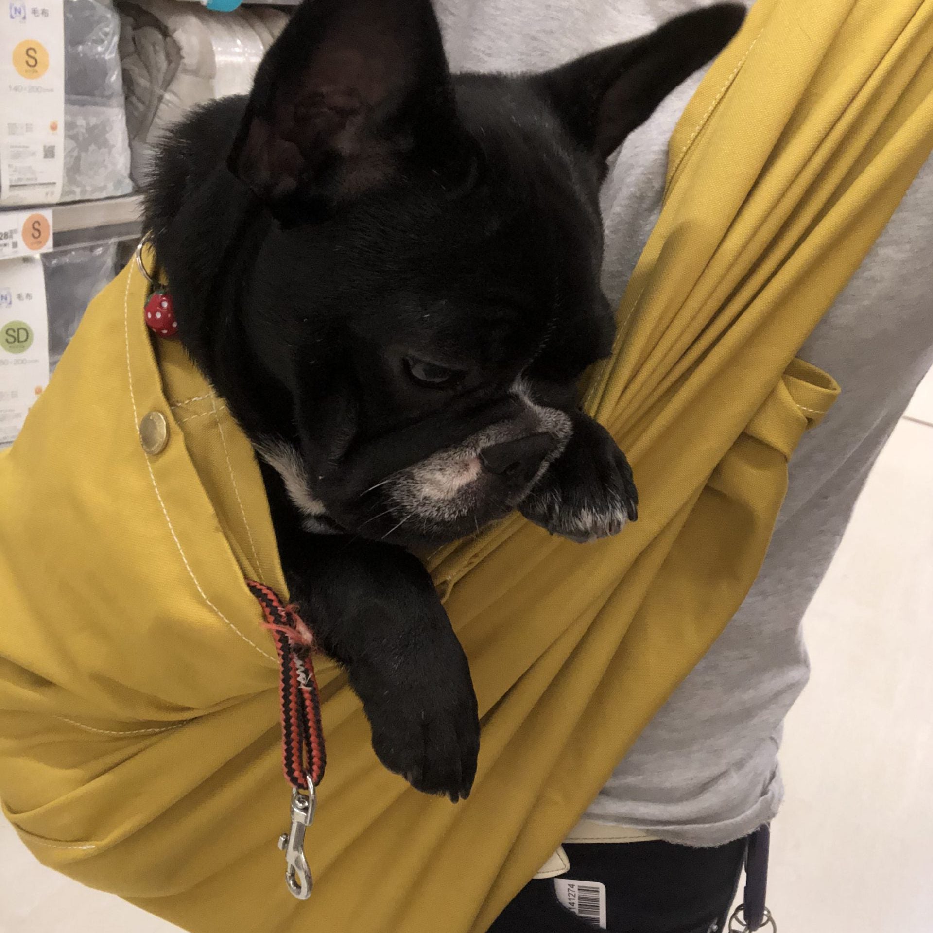 肩に負担がかからず楽です