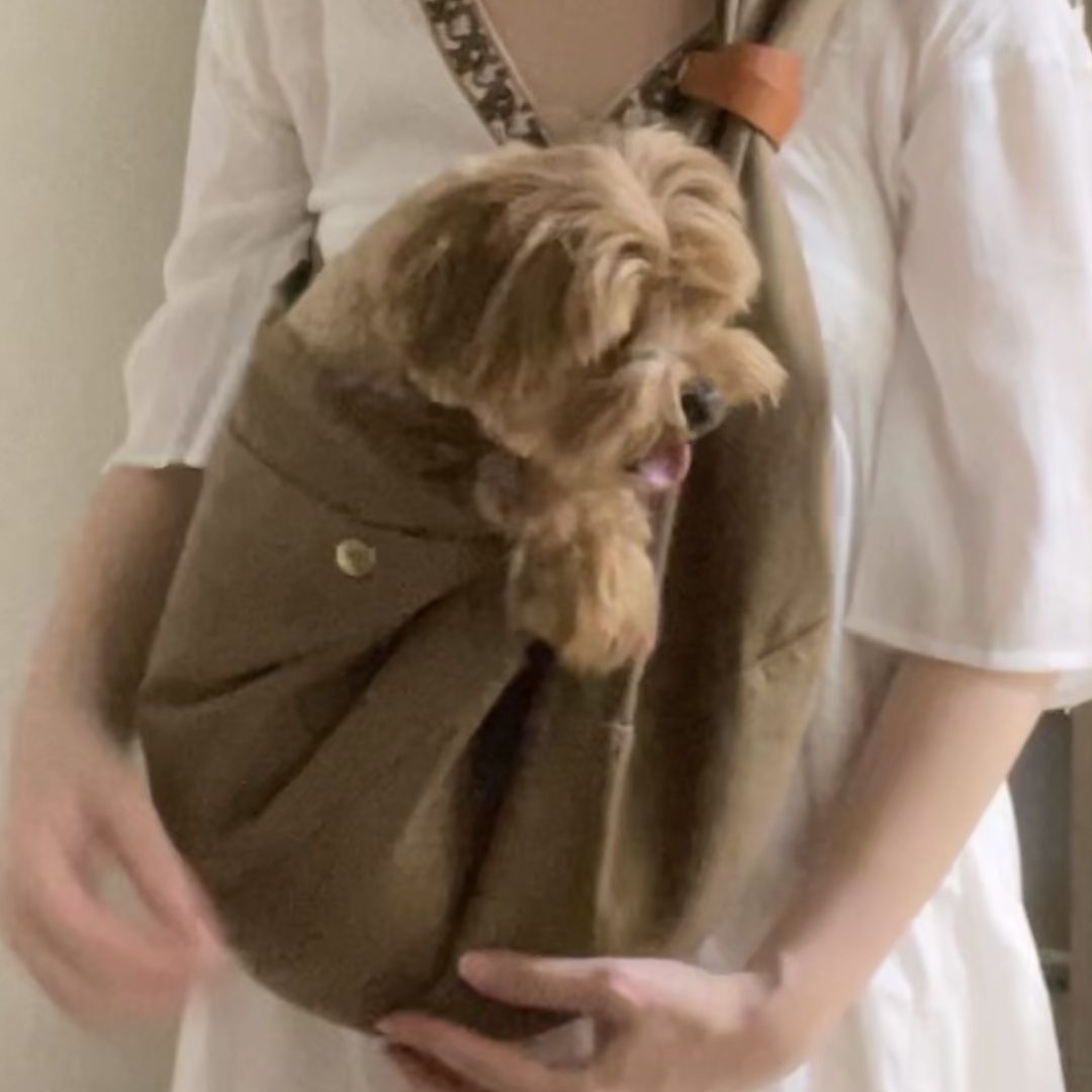 分かりやすい説明書