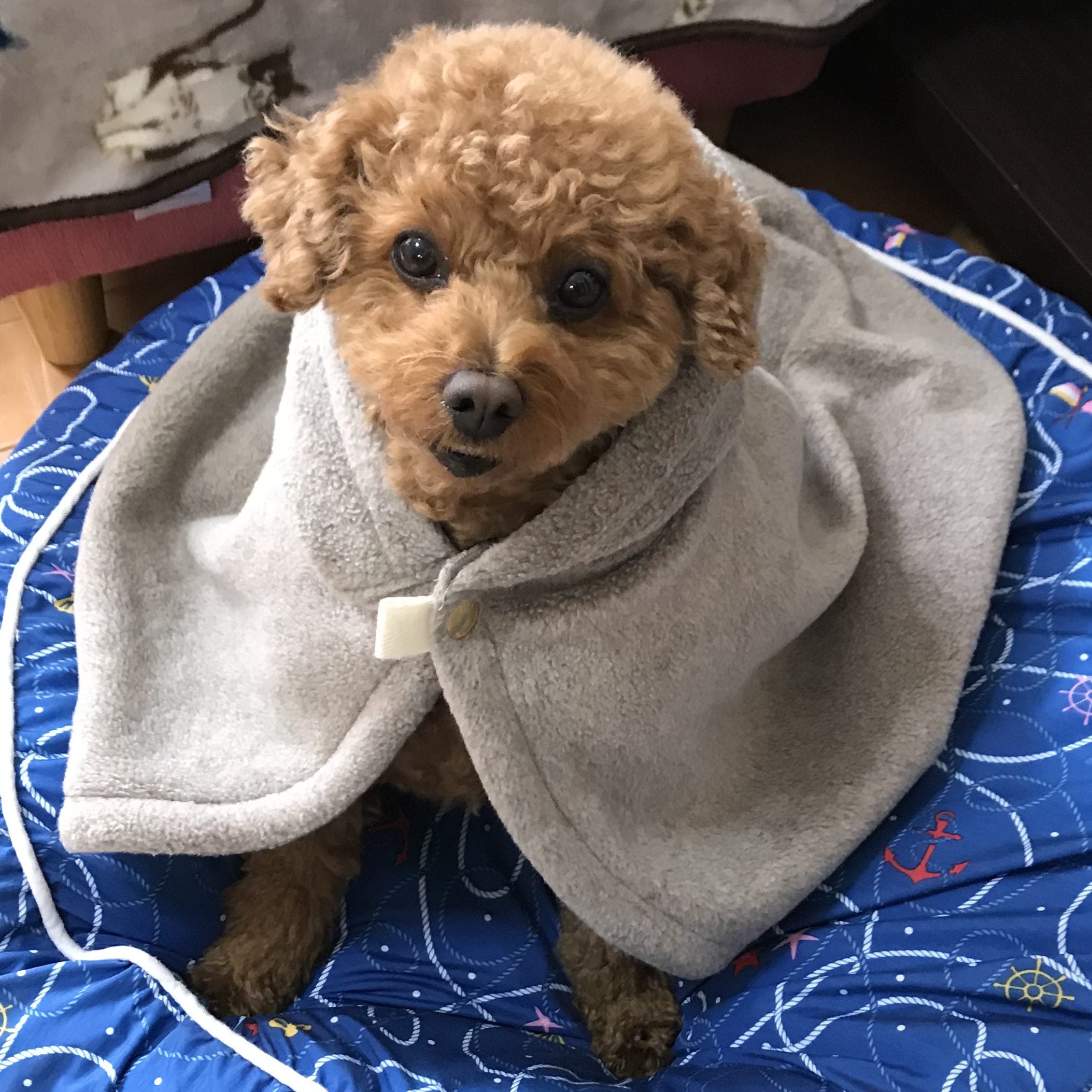 全身包まれて温かい