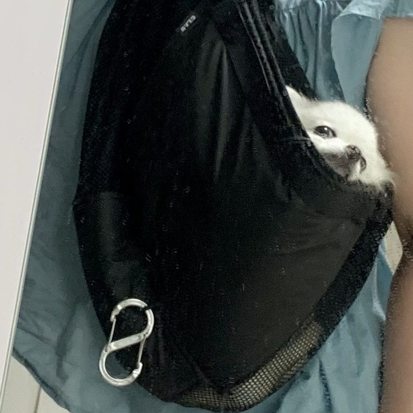 肩にかかる部分も幅広いので、人も疲れづらい