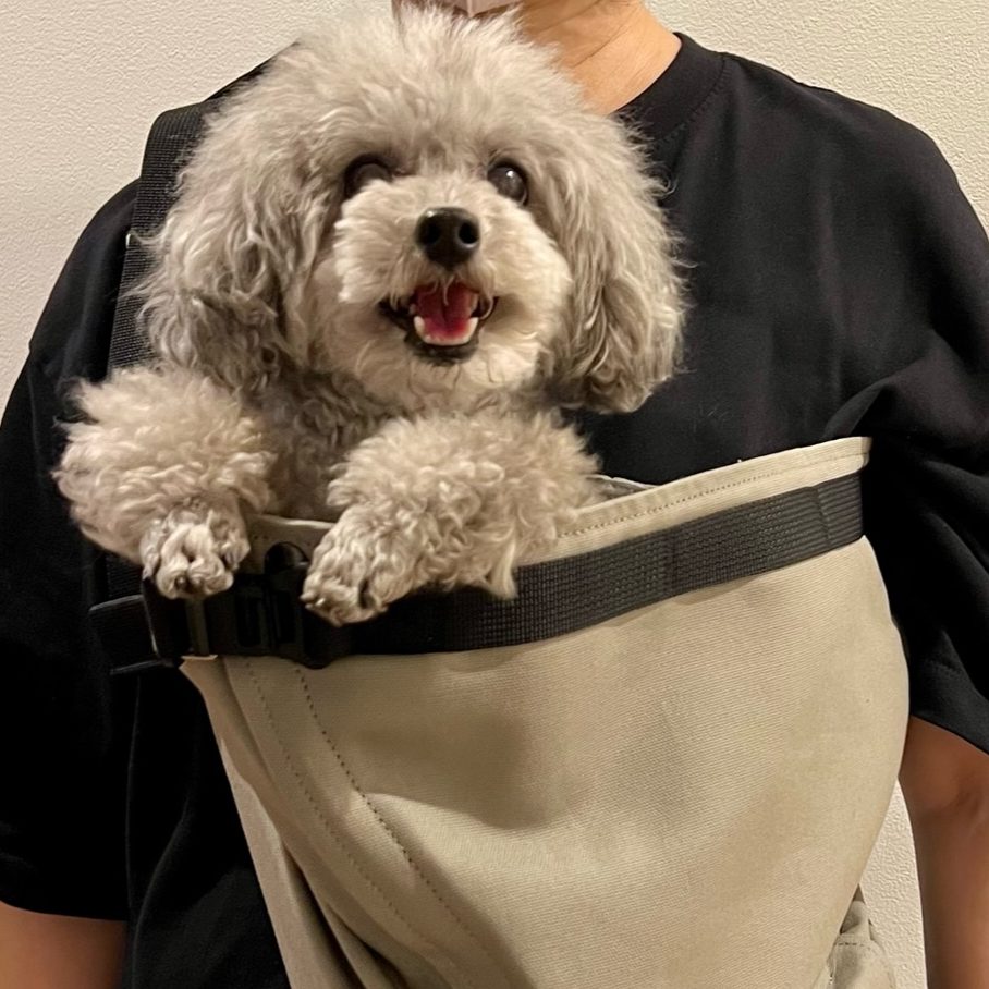 雷を怖がる時は特に重宝