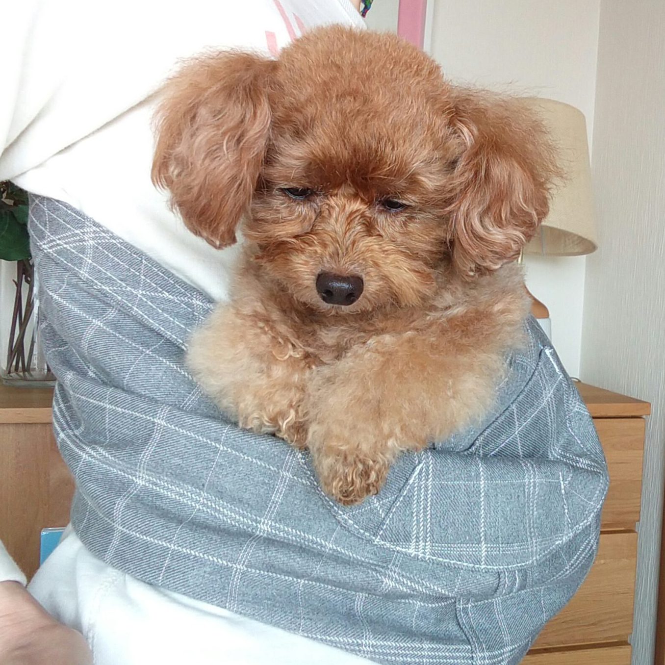 とても満足しています