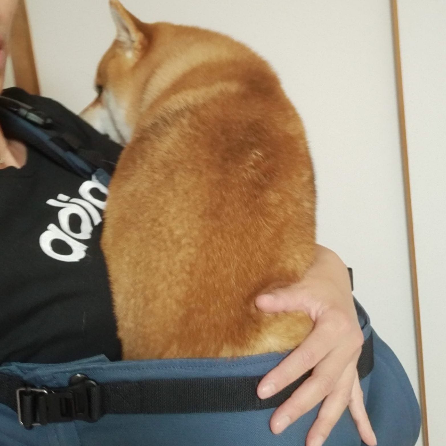 一緒に練習中です