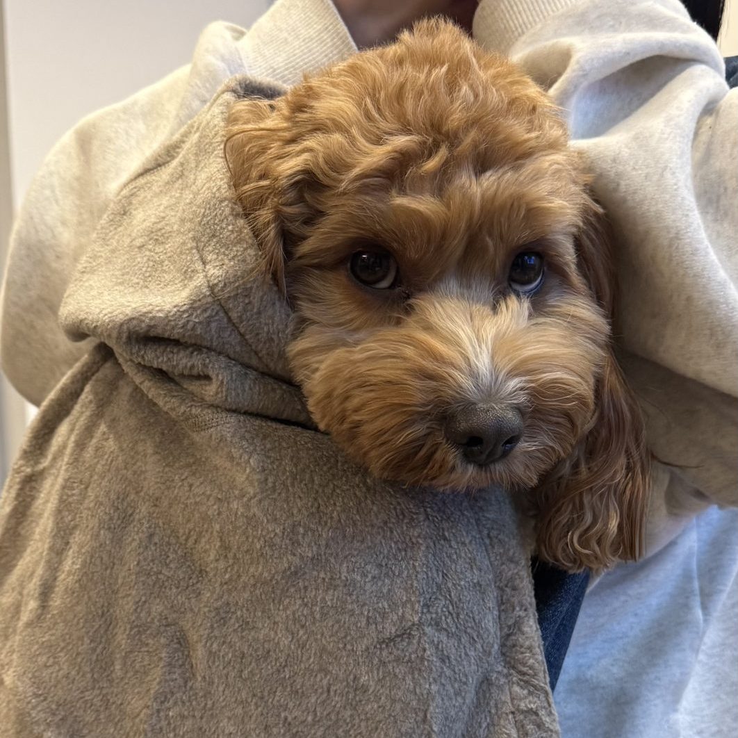 柔らかく暖かい