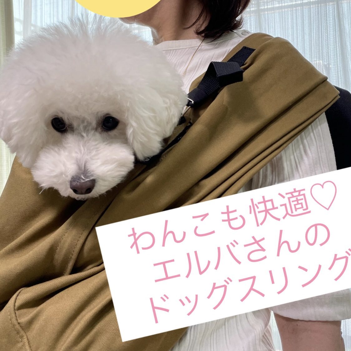 アフタフォローも充実していた