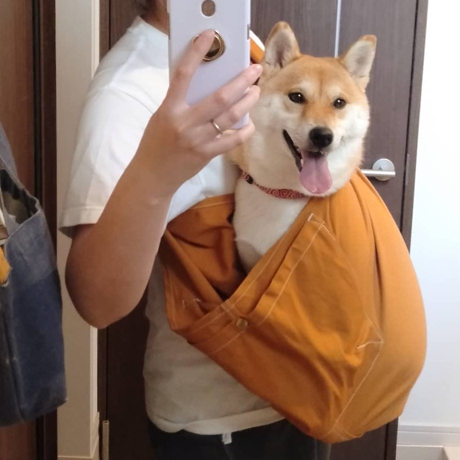 すっぽり収まります。