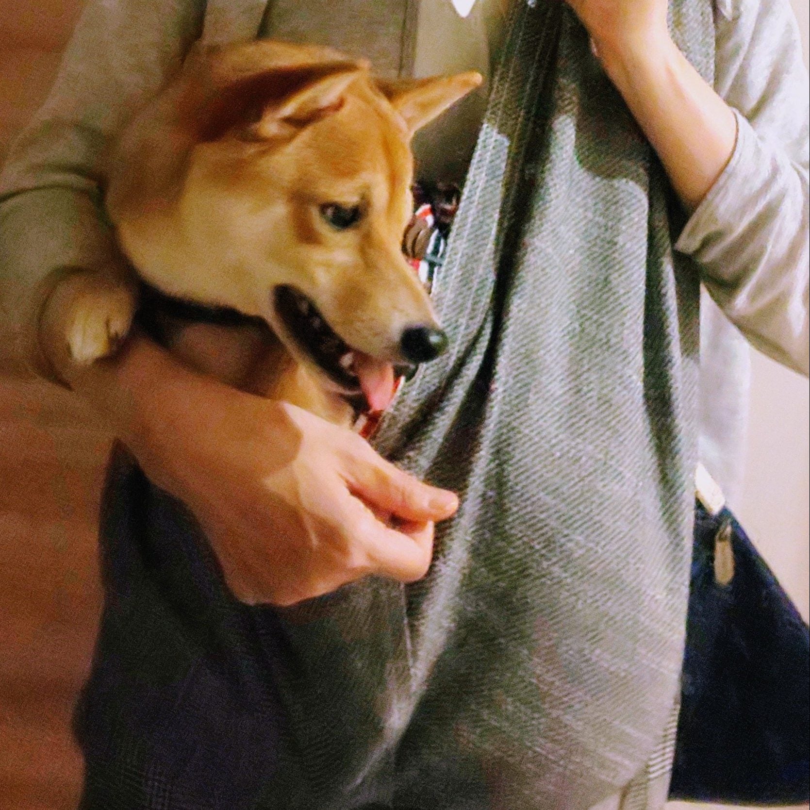 軽く感じました