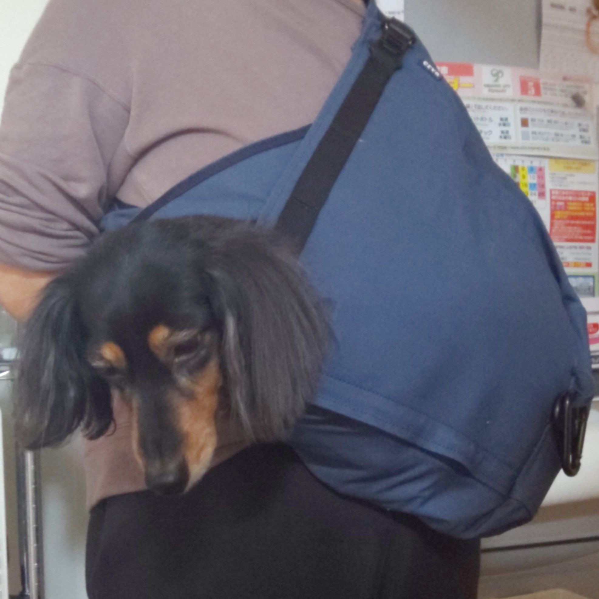 カートだと、かさばったりして困ってました