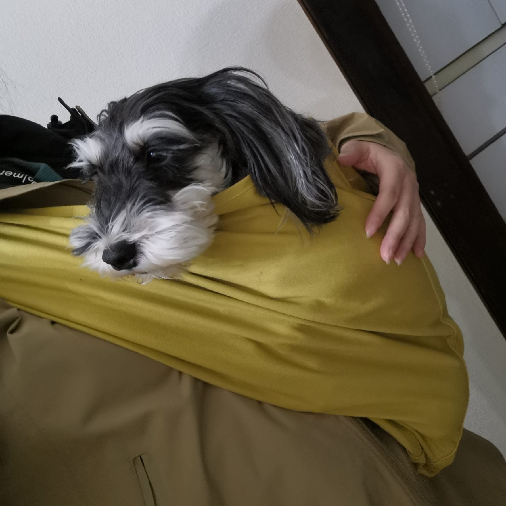 スリングが無いと肩までよじ登ります