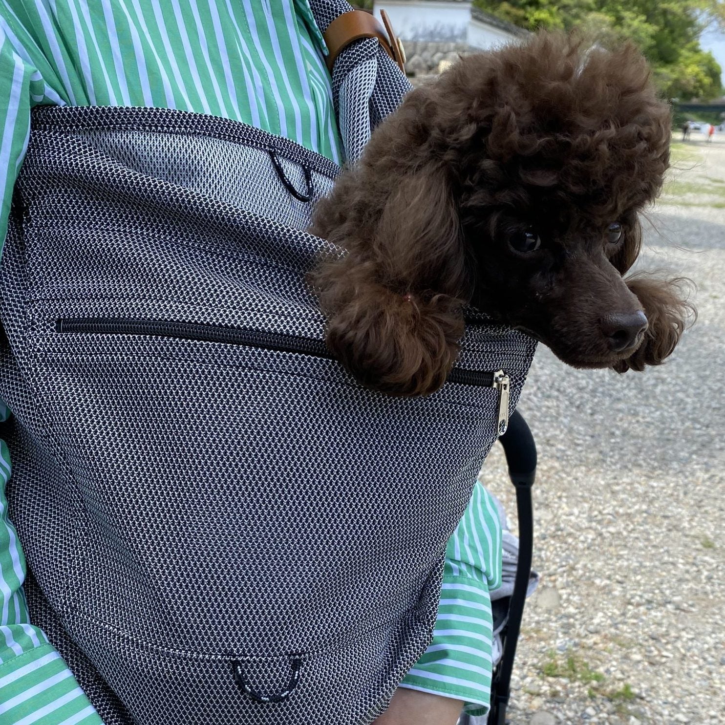 使い方も教えてもらえ大満足